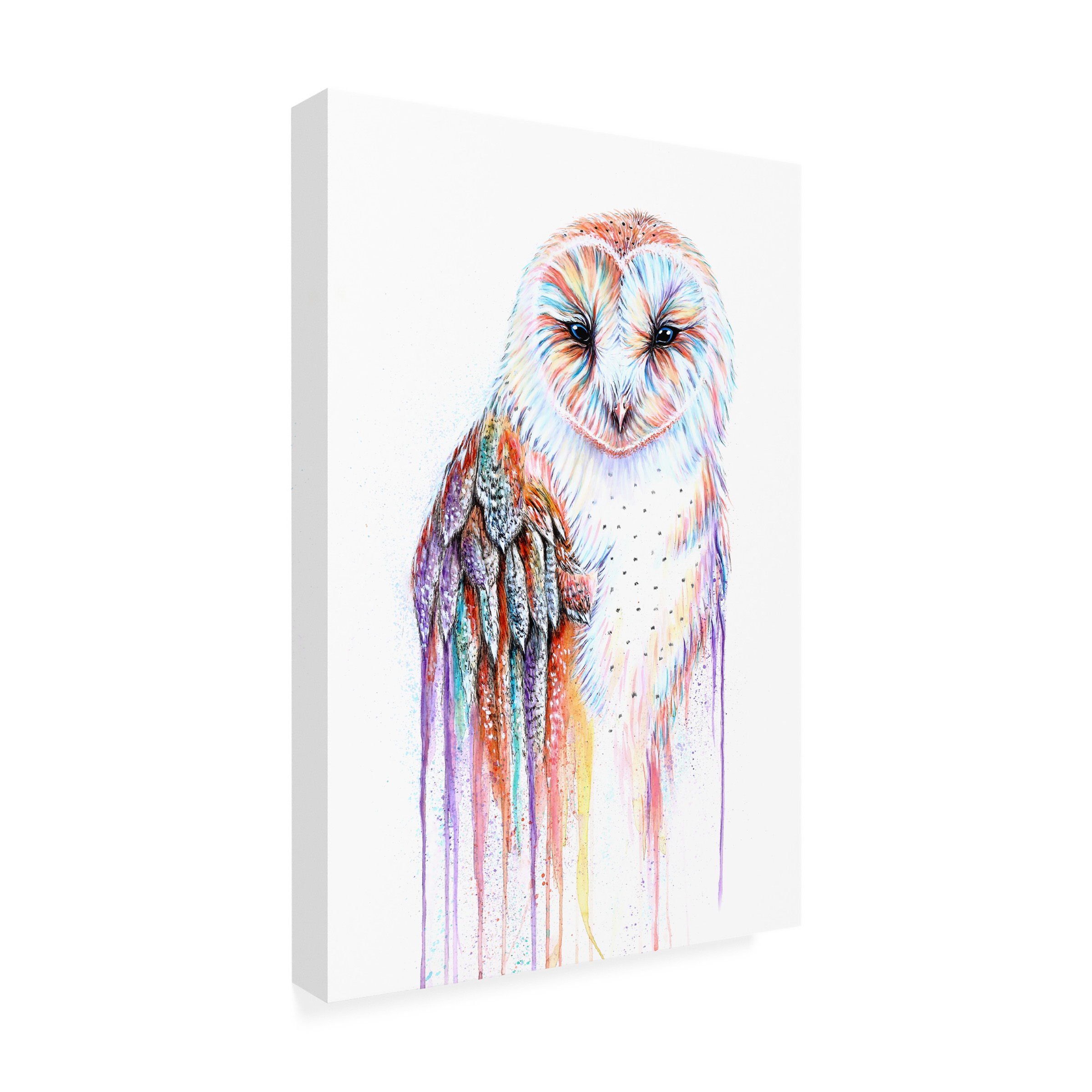 Michelle Faber 'Barred Rainbow Owl' Canvas Art
