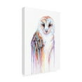 thumbnail image 4 of Michelle Faber 'Barred Rainbow Owl' Canvas Art, 4 of 4