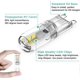 thumbnail image 3 of G9 LED Bulbs 1.5W Equivalent to 20W Halogen Cool White Light 6000K, AC 220-240V, Non Dimmable, Mini Incandescent Bulb, Flicker Free, Pack of 10, 3 of 4