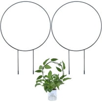 1 Set 2Pcs Small Metal Plant Trellises Garden Trellis for Indoor and Outdoor Garden Potted Plant Plants Climbing Green Radish Ivy Chlorophytum Vine Flower Plant Support Black 13.07×9.05 Inch