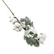 thumbnail image 4 of Flores Artificiales de Semillas de Algodón Secas para Decoración de Sala de Estar | Ramas de Plástico Blanco, 12 Unidades, 62 X 6 Cm, 4 of 7