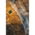 thumbnail image 2 of Chiriaco, Carmine 23x32 Black Ornate Wood Framed with Double Matting Museum Art Print Titled - Series Tuscany - Lines And Curves, 2 of 4