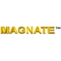Magnate, Inc. profile photo