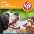 Arm & Hammer For Pets Tartar Control Dental Spray for Dogs Mint Flavor