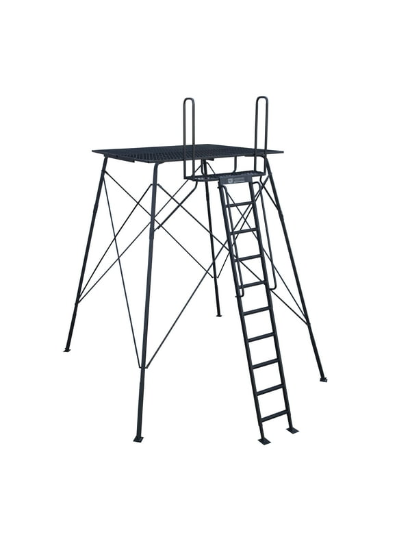 Two Man Ladder Stands in Treestands