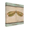 thumbnail image 2 of Trademark Fine Art 'Dragonfly Tapestry' Canvas Art by Jean Plout, 2 of 3