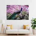 thumbnail image 4 of Indian Peacock Poster Decorative Painting Canvas Wall Art Living Room Posters Bedroom Painting,Unframe-style,20x30inch(50x75cm), 4 of 8