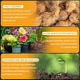 thumbnail image 5 of High Nutrition Coconut Coir Brick, High Expansion Coconut Fiber Substrate with Low EC and PH Balance, Organic Coco Coir for Garden Soil Potting Flower Herbs Vegetables(L-7.87"*1.2"#1), 5 of 6