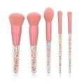 thumbnail image 1 of DFC Brosse en Plastique Ensemble de Granules Cosmétiques Pcs Manche Transparent  5 Brosse Colorée, 1 of 8