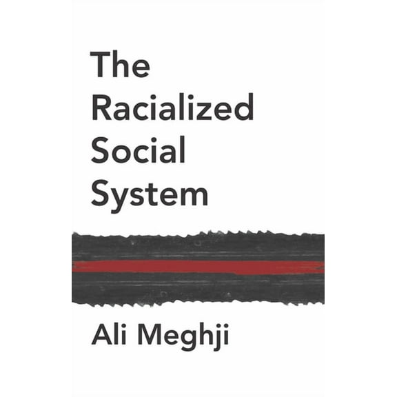 The Racialized Social System (Hardcover)