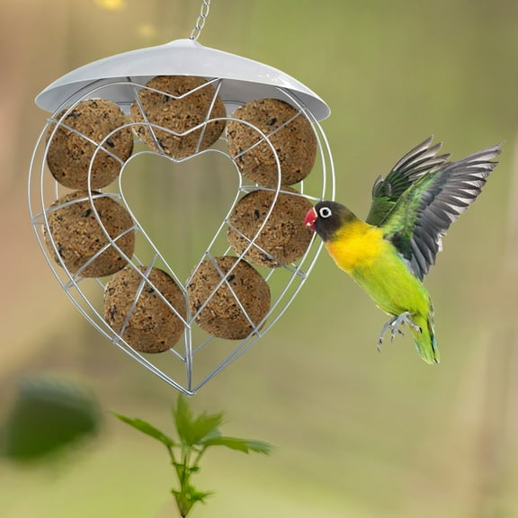 AZXY Bird Feeders Outdoor,Suet Feeder,Wild Bird Feeders for Outside Hanging,Metal Birdfeeder Clearance