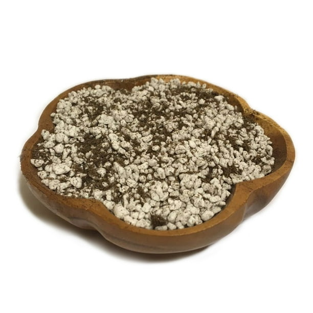 Desert Roses Rare Adenium Obesum Plant Organic Potting Soil 0.5 Quart