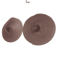 thumbnail image 2 of BIMEI Attachable Silicone Prosthetic Nipples Pre-Adhesive Reusable Washable Nipple Covers for Breast Forms ,Classic，Brown,1 pair,S, 2 of 5