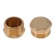 thumbnail image 1 of Accesorios de tubería de latón Unique Bargains 1/2" macho tapón de rosca externa 0.55" 2 piezas, 1 of 7