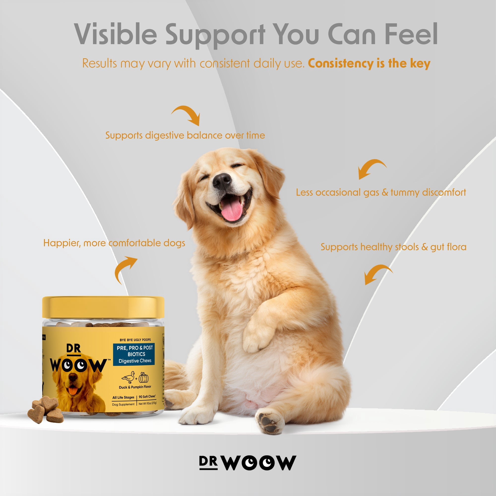 Pre, Pro & Postbiotic Digestive Support Soft Chews