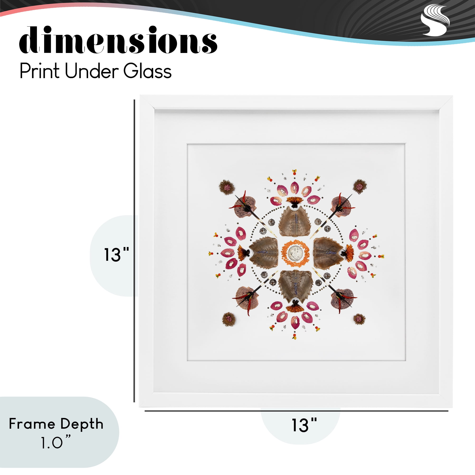 Stupell Industries Symmetrical Nautical Collection White Framed Print Under Glass, design by Beth Adoette