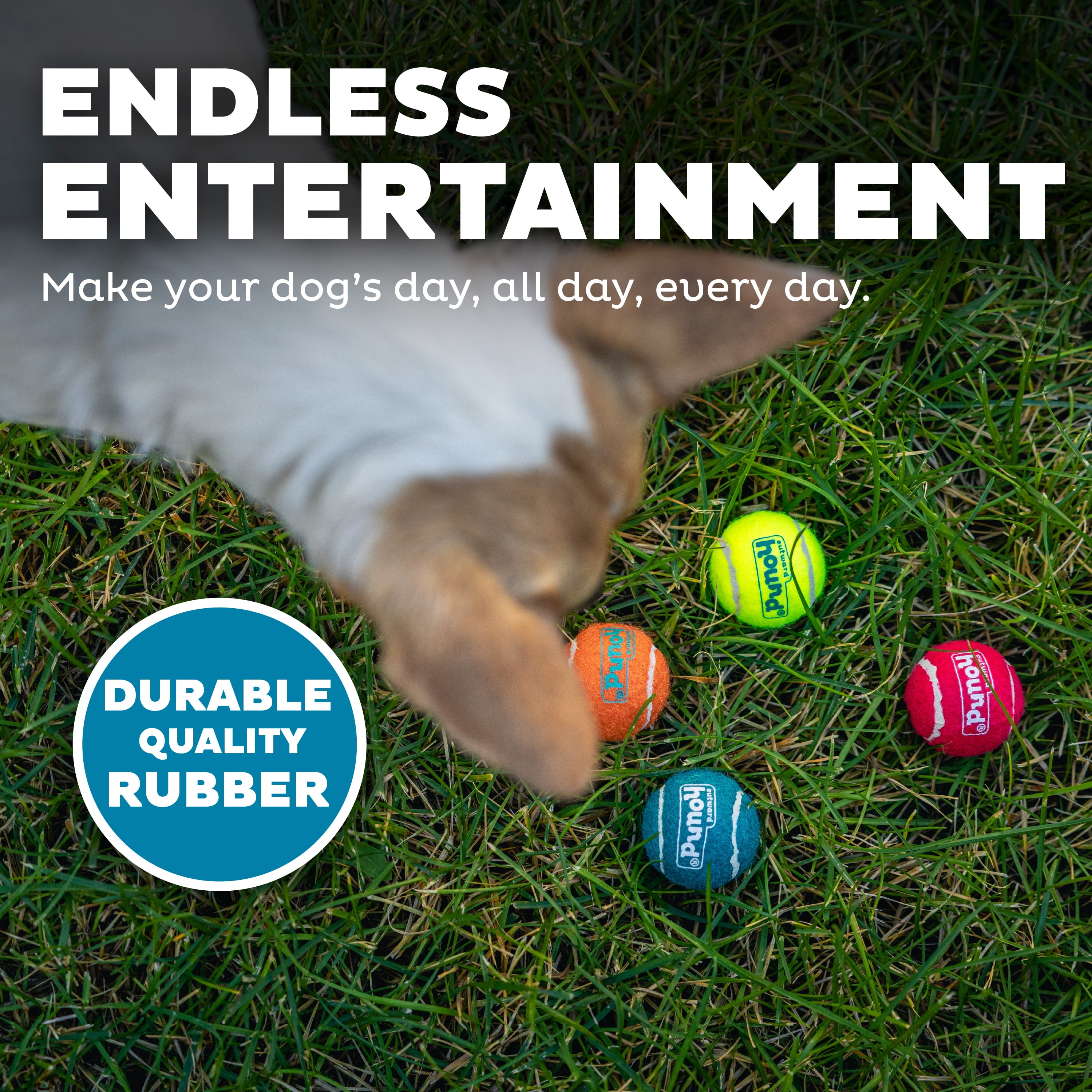 Outward Hound Squeaker Ballz – Squeaky Tiny Tennis Balls for Small Dogs Under 15 lbs, Fetch & Training, X-Small (1.5"), 8-Pack