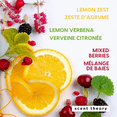 thumbnail image 3 of Scent Theory Foaming Hand Soap, Lemon Citrus, 11 fl oz, 3 of 9