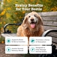 thumbnail image 2 of Zesty Paws Senior Advanced Cognition Bites Chicken Flavor Dog Supplement, 90 Count, 2 of 11
