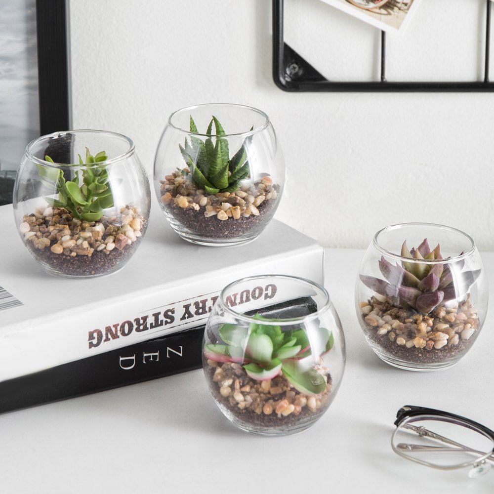 MyGift Mini Clear Round Artificial Succulent Plant Glass Display Vases