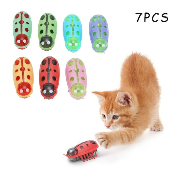 Robot cat hotsell toy at walmart