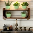 thumbnail image 5 of FIASON 5 Pack 6 Inch Green with Brown Self Watering Plant Pots, with Watering Lip, Drainage Holes & Removable Saucer, Small Planters for Indoor Outdoor Garden House Succulent Plants, 5 of 10