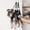 Black-M, variant on Cat Grooming Sling Hanging Restraint Bag Breathable Hands Free Suspended Support for Cats Small Dogs Bathing Nail Trimming Ear Cleaning Scratch Proof(Black-M)