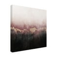 thumbnail image 4 of Trademark Fine Art Elisabeth Fredriksson Pink Sky Canvas Wall Art, 4 of 4