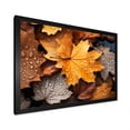 thumbnail image 2 of Designart "Autumn Maple Leaves in Yellow and Orange IV" Floral Framed Wall Art Decor - Traditional Orange Tree Maple Hallway Framed Wall Art Decor, 2 of 6