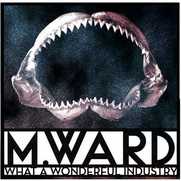 M. Ward - What a Wonderful Industry - Music & Performance - CD