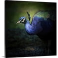 thumbnail image 1 of Great BIG Canvas | "Peacock I" Canvas Wall Art - 24x24, 1 of 2