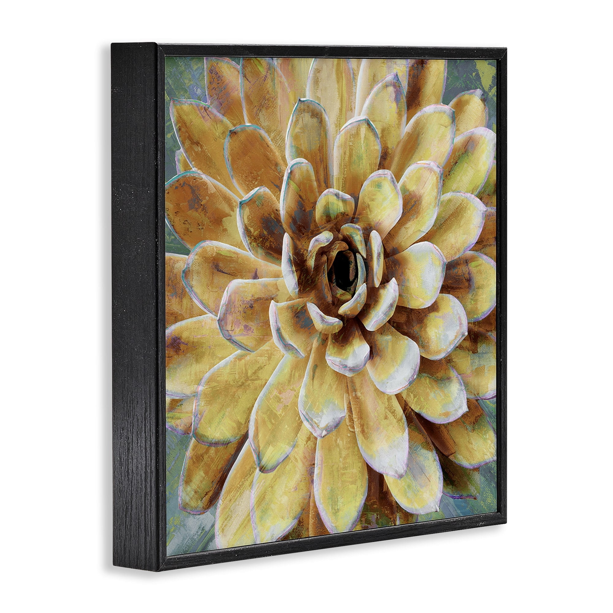 The Stupell Home Decor Collection Yellow Painted Botanical Succulent Bloom Painting Framed Giclee Texturized Art, 12 x 1.5 x 12