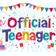 thumbnail image 4 of Colorful Theme Happy Birthday Banner For Kids Party Teenage Celebration Indoor Decoration, 4 of 8