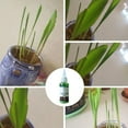 thumbnail image 3 of Rapid Rooting Liquid Rapid Rooting Solution 50ml Plant Nutrient UK NEW., 3 of 8