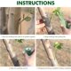 thumbnail image 2 of 5 cintas de injerto, cintas de injerto, rollos de cintas de injerto autoadhesivas para reparación de árboles frutales (verde), 260 m*3 cm, 2 of 5