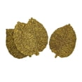 thumbnail image 4 of Leaf Yellow Seagrass Placemat - Set of 4, 4 of 5