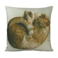 thumbnail image 5 of Pet Pillow | Custom Pillow | Throw Pillow | Pillows | Custom Dog Gifts | Custom Gift | Custom Cat Pillow | Custom | Home Decor | Embroidery, 5 of 8