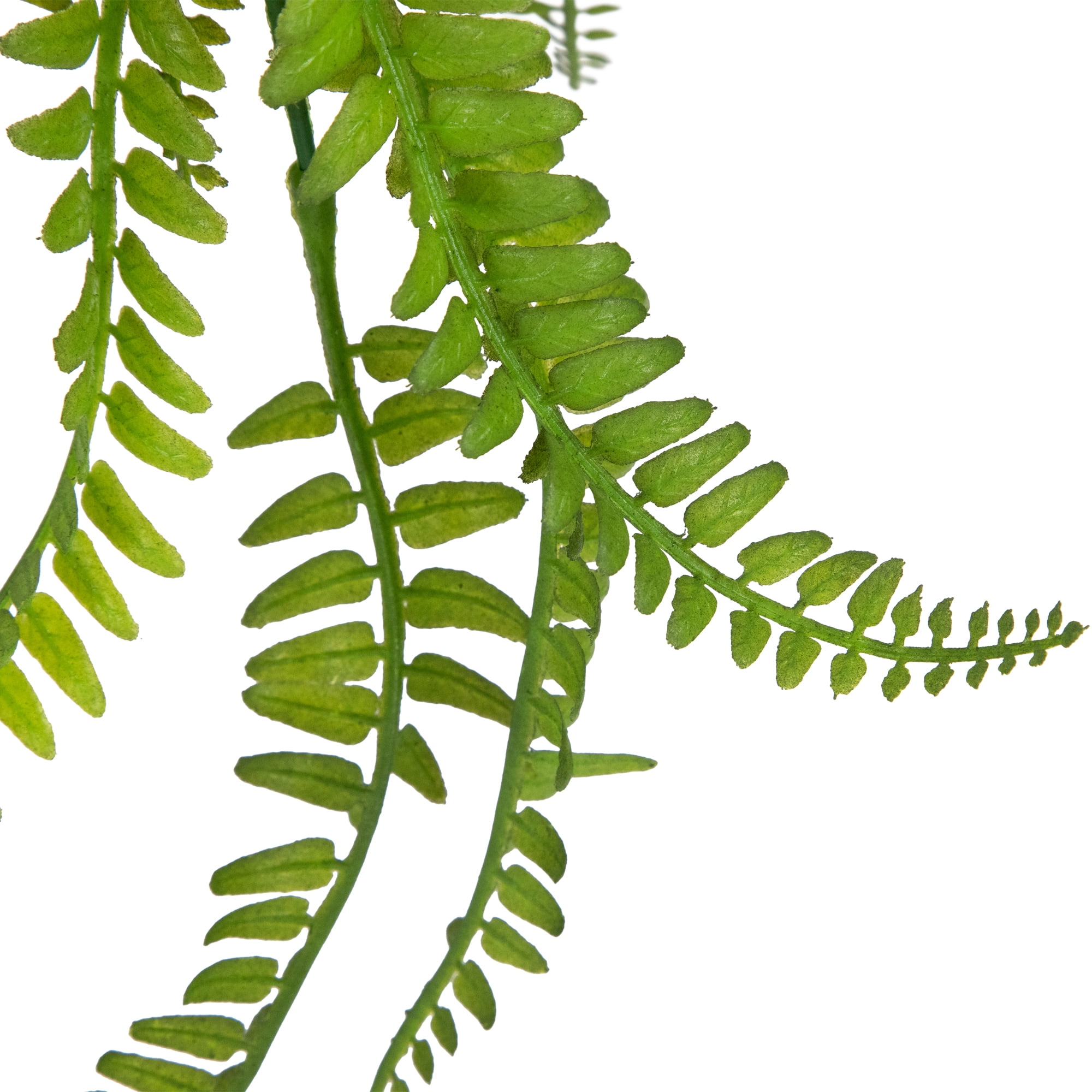 Northlight Artificial Fern Plant with Moss Ball and Hanging Jute Cord - 18"
