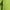 Light Green, variant on Girls Casual High Waist Loose Fit Drawstring Cargo Sweatpants with Functional Pockets for Tall Kids