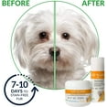 thumbnail image 2 of I-Lid 'n Lash Hygiene Vet Pump 50mL, 2 of 5