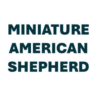 Miniature American Shepherd Pill Butter