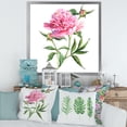 thumbnail image 3 of Designart 'Ancient Pink Peonies' Traditional Framed Art Print, 3 of 4