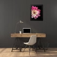 thumbnail image 4 of Foschino, Suzanne 19x24 Black Modern Framed Museum Art Print Titled - Ombre Dahlia 16, 4 of 5