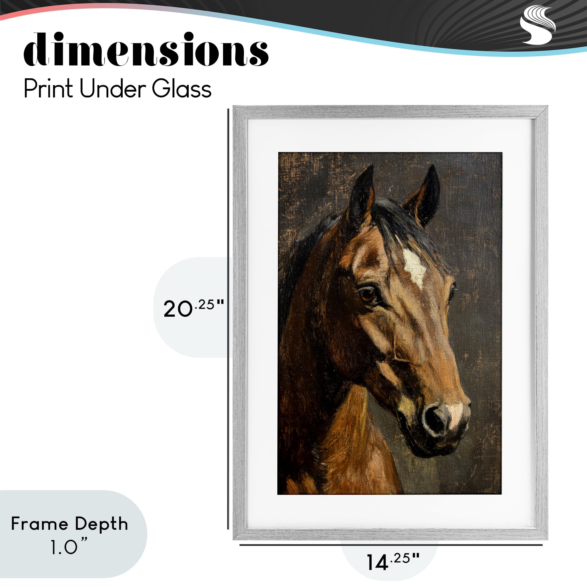 Stupell Industries Horse Portrait Study Gray Framed Print Under Glass, design by Petal Prints Design