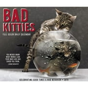 2019 Bad Kitties Desk Calendar, by Willow Creek Press