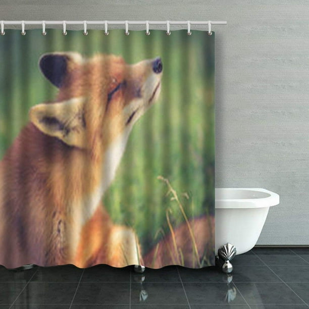 RYLABLUE Red Fox Enjoy Sun Vintage Look Shower Curtains Bathroom Curtain  66x72 Inch 