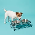 thumbnail image 2 of Vibrant Life Small 1.5-Cup Elevated Pet Double Diner, Silver, 2 of 9