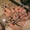 Glue model, variant on Wearable fake henna pattern wave manicure European nail nail sticker finished detachable nail patch ballet nail W7