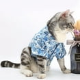 thumbnail image 3 of Adorable Pet Clothes for Cats & Small Dogs - Charming Spring & Autumn Wear., 3 of 3