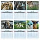 thumbnail image 5 of Calendarios Calendario de 12 meses Calendario de pared Calendario, 5 of 5